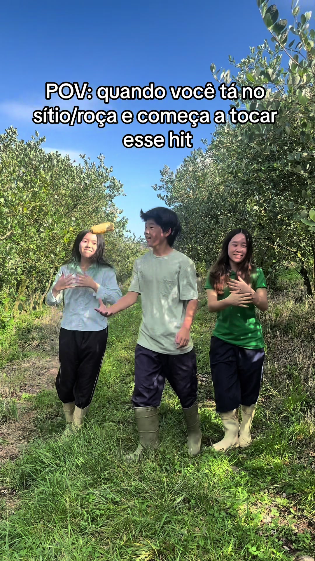 @ALN_TRIO