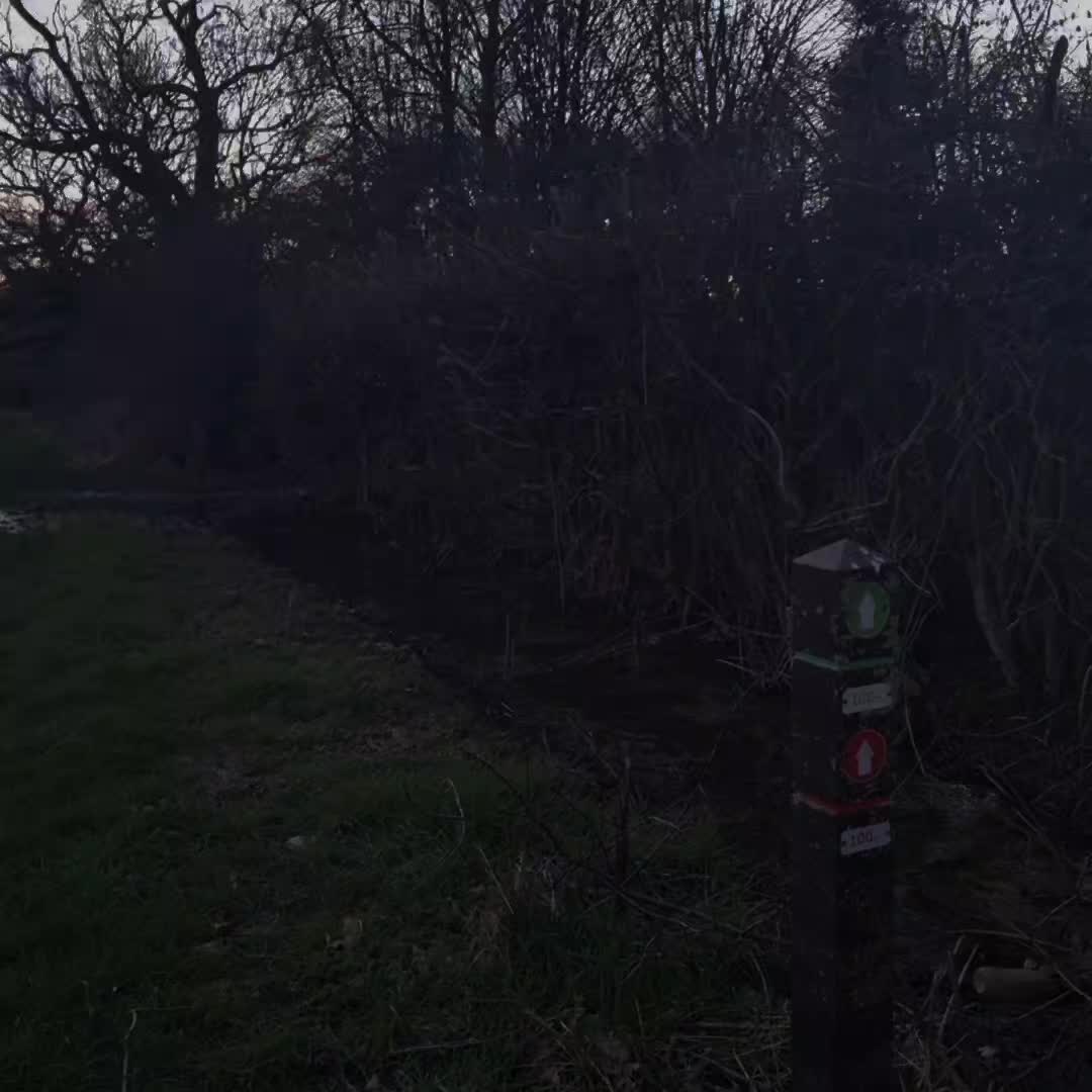 @ㅤ