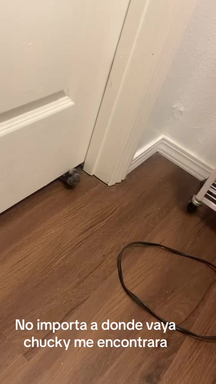 @cyn760