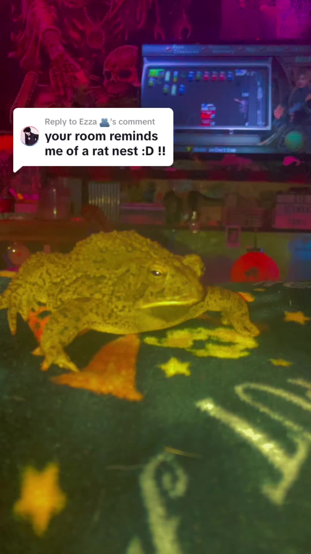 @Richtofen
