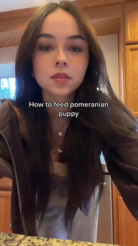 @funkymunky456