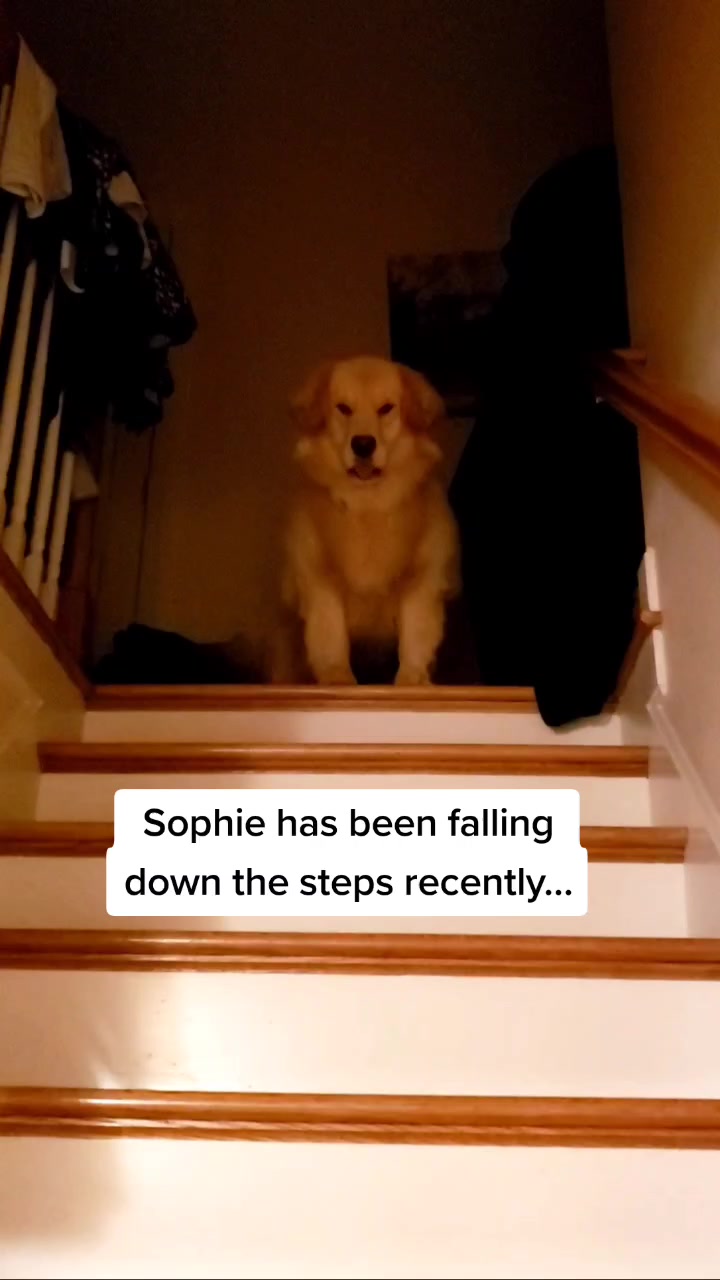 @Matthew Wine