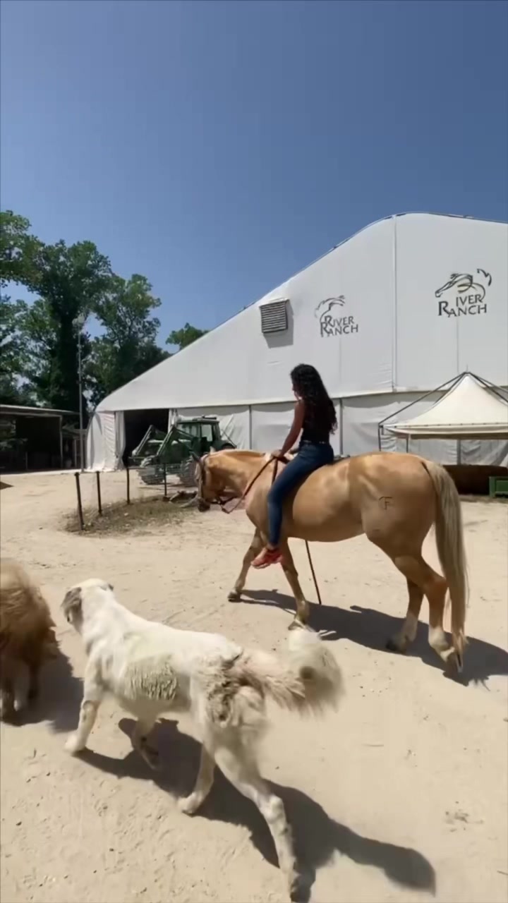 @River Ranch