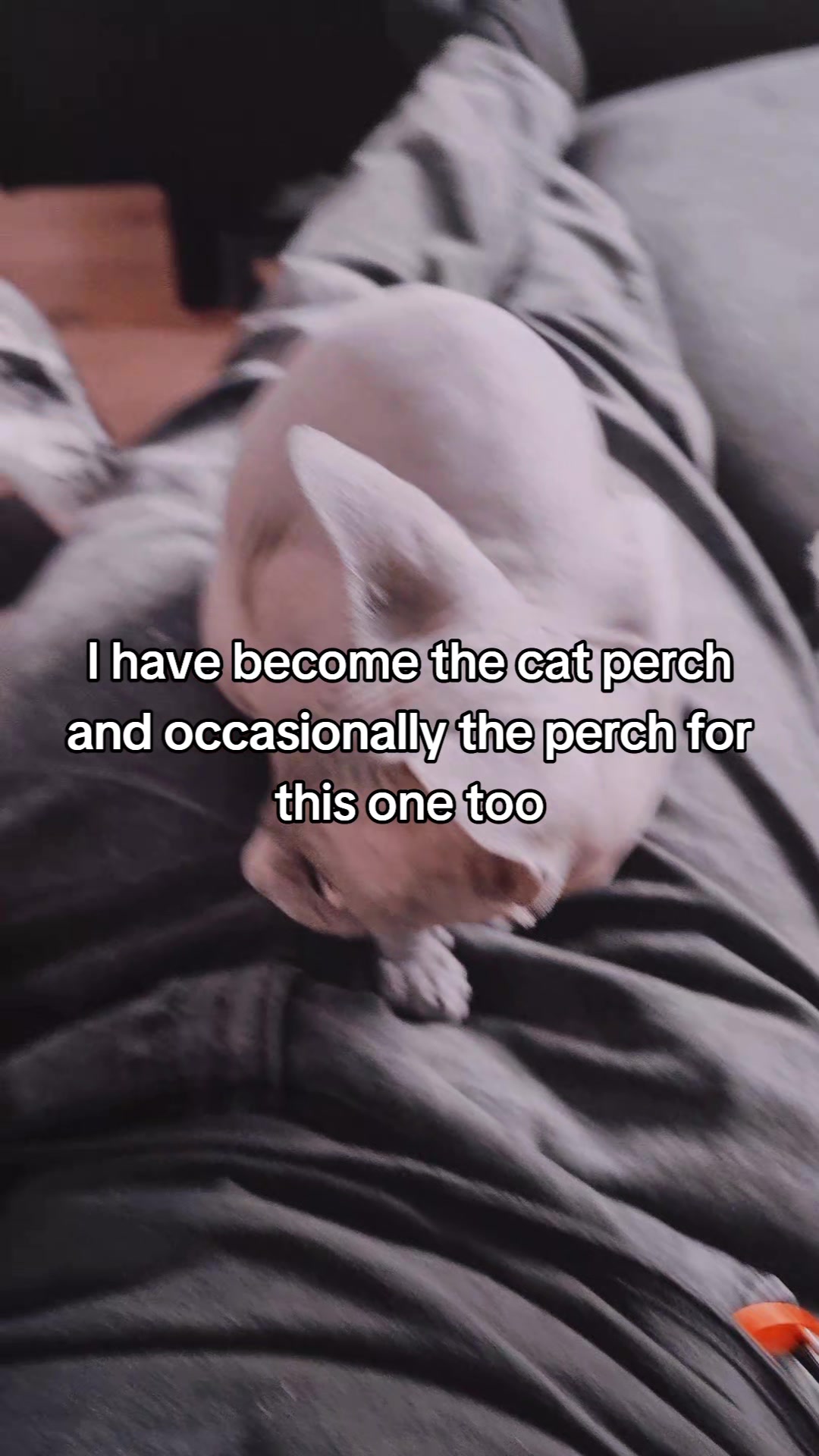 @Bananabeanie