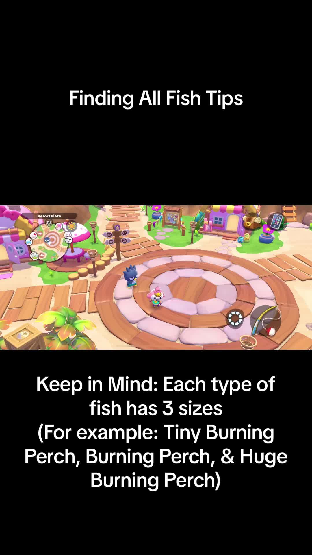 @Hello Kitty IA Tips