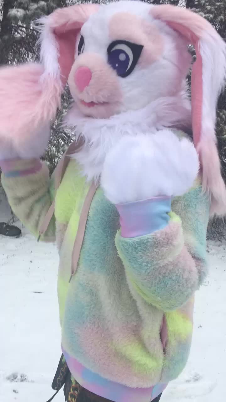 @Twix the Cat