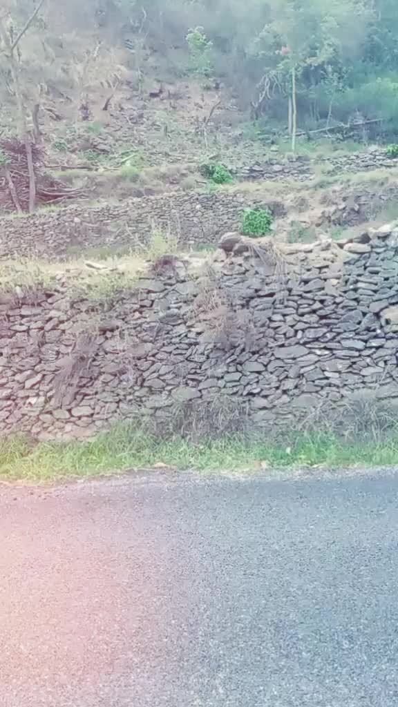 @shilpi Raturi