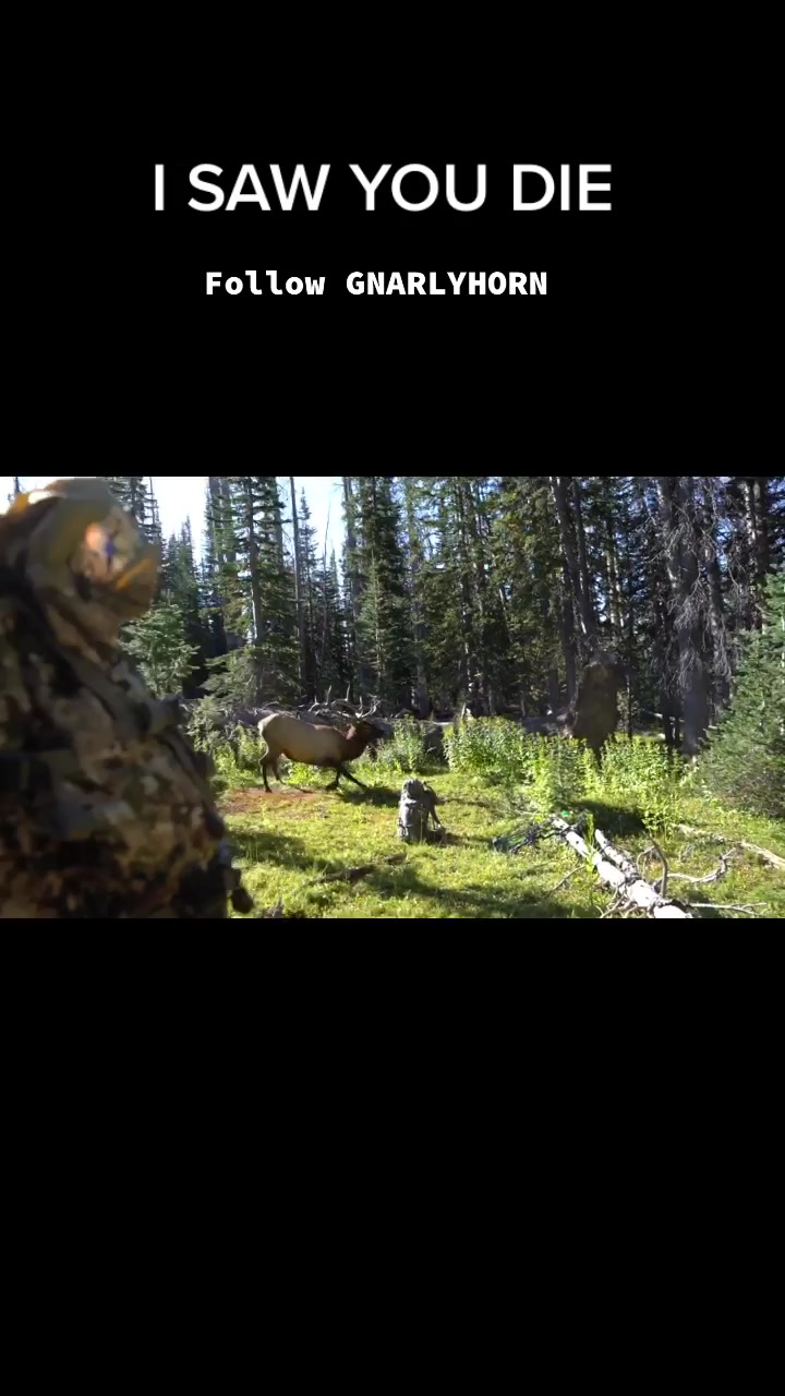 @Gnarlyhorn