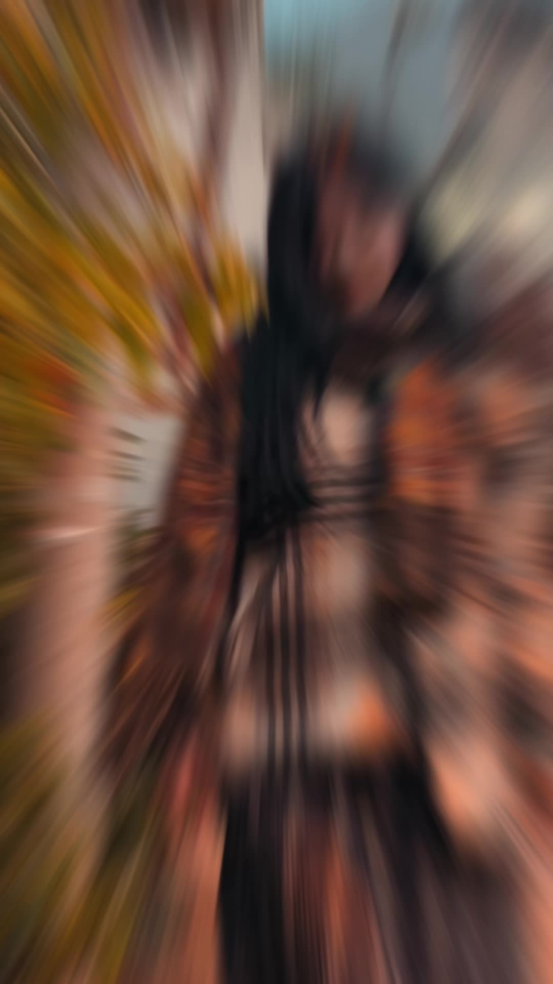 @Shiro Kiruma