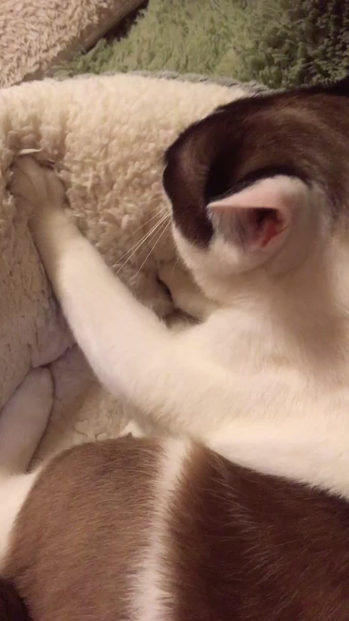 @白瓏☃️
