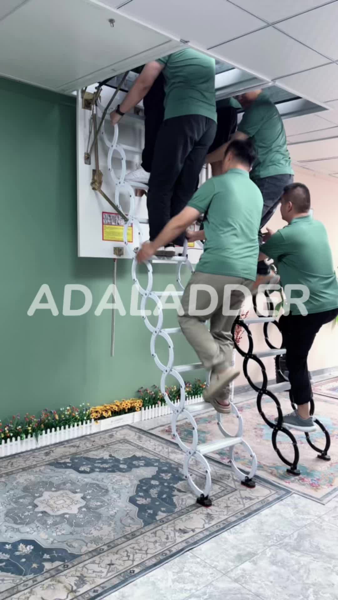 @Renee_attic ladder