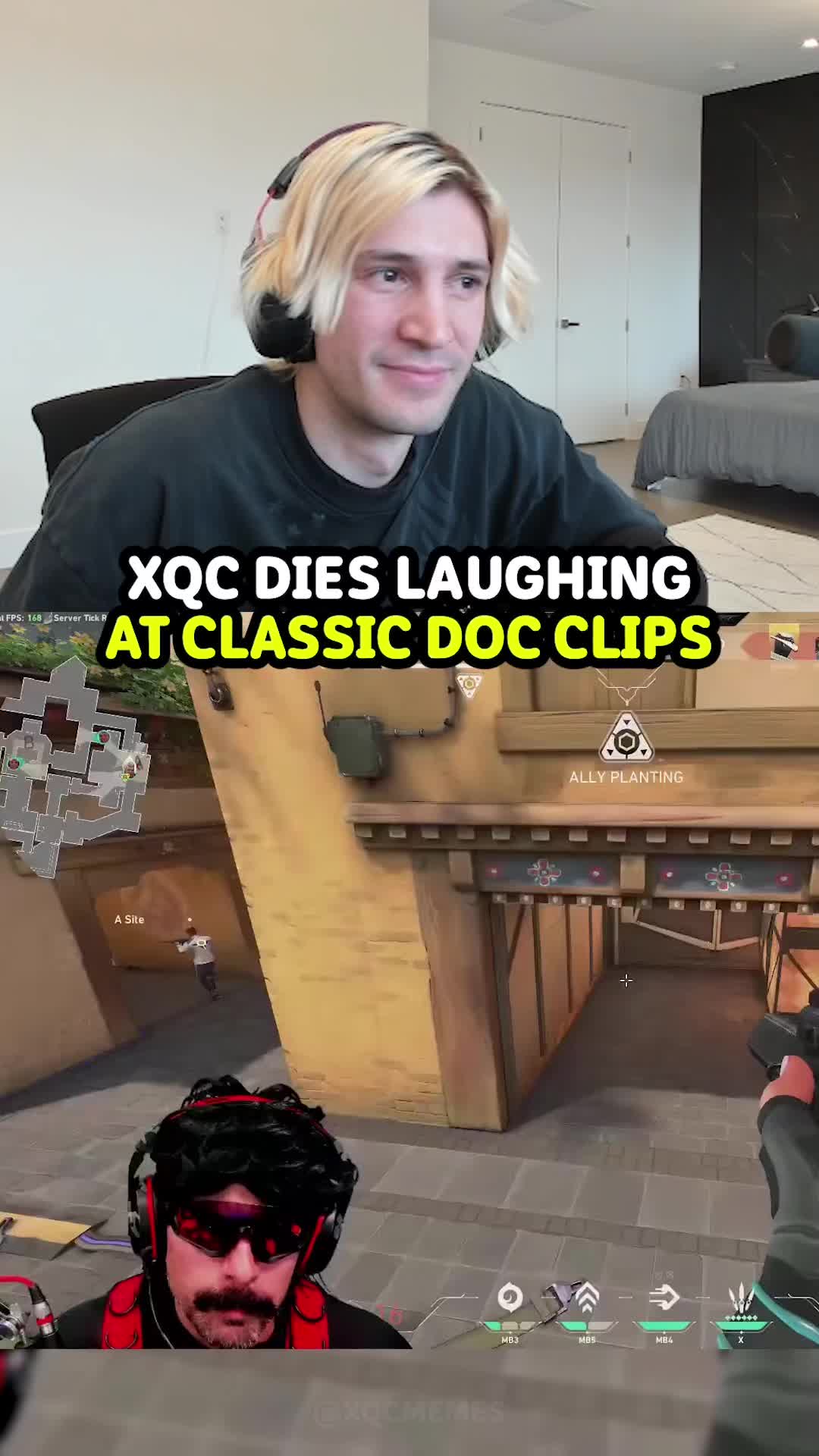 @xqcmemes