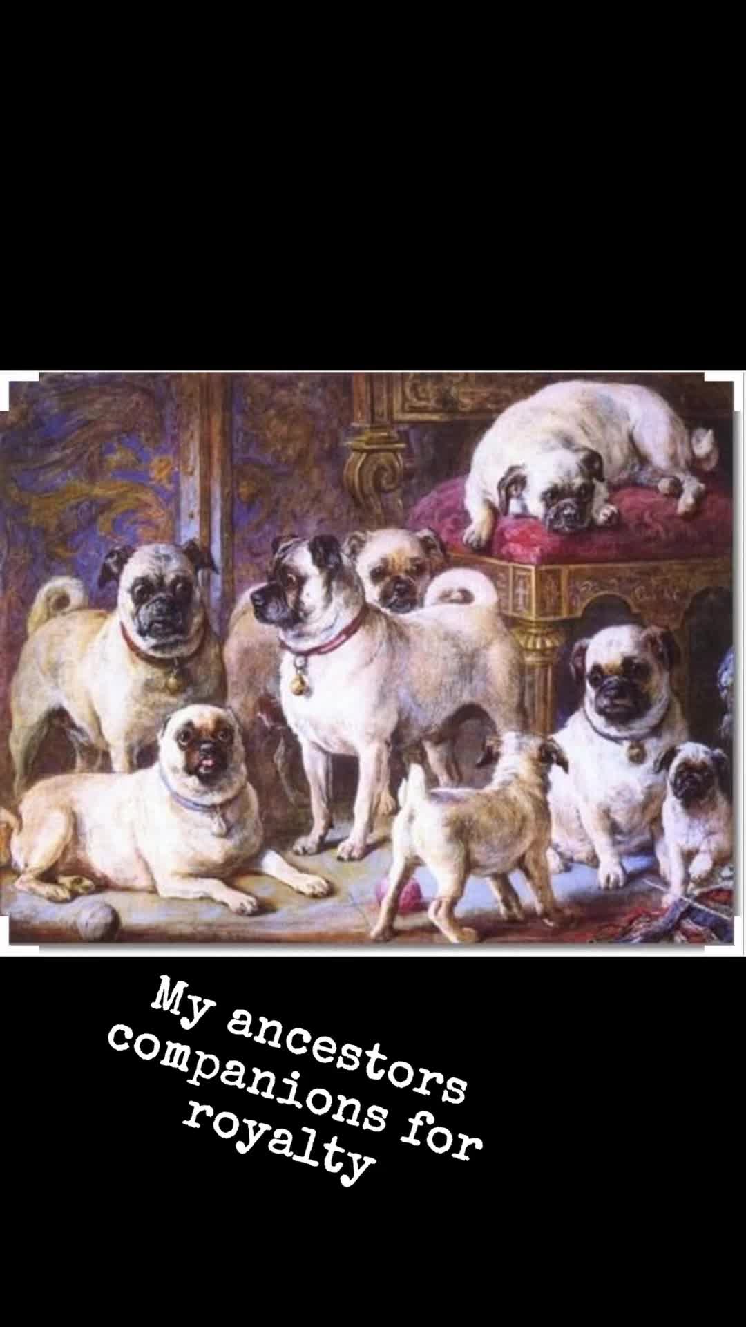 @smashley4207