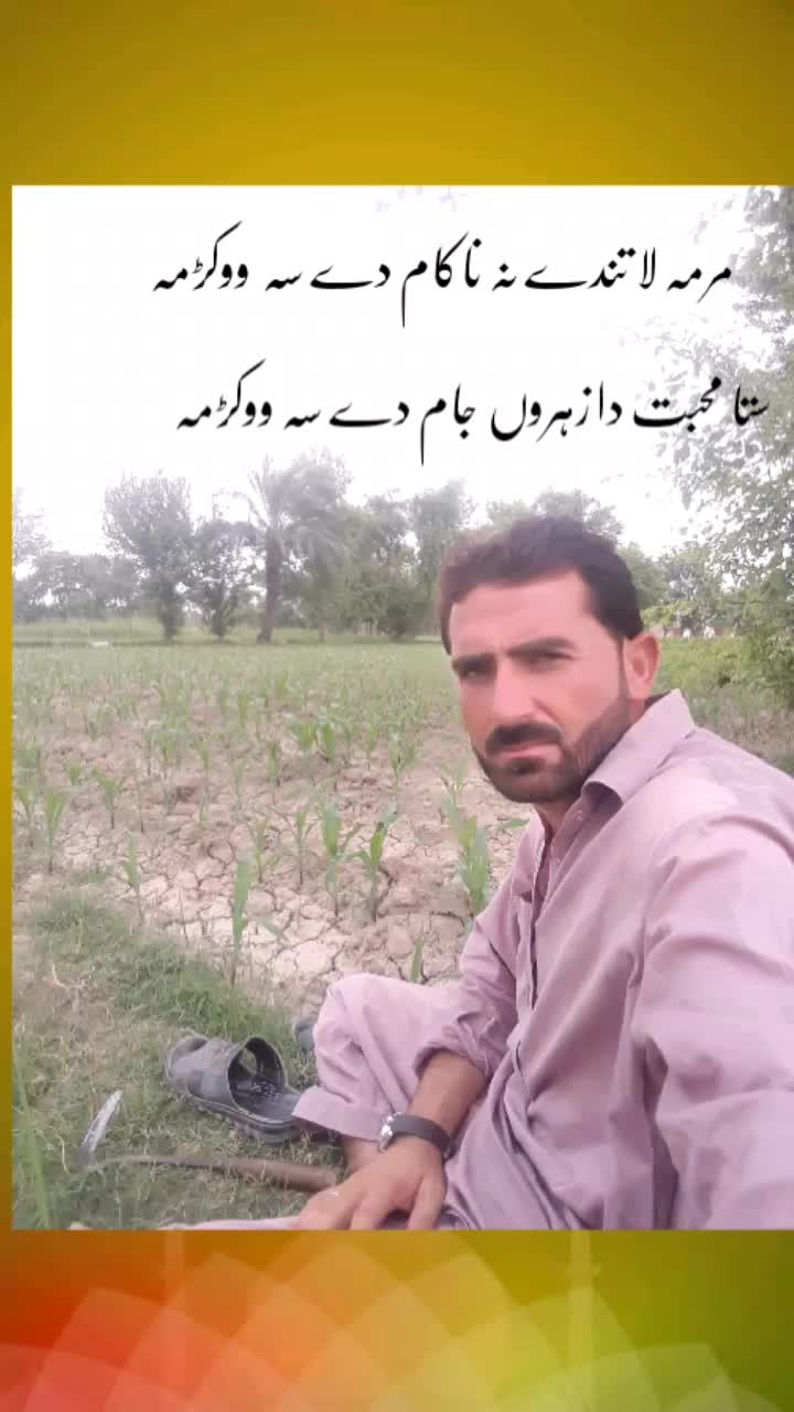 @F.Niaz
