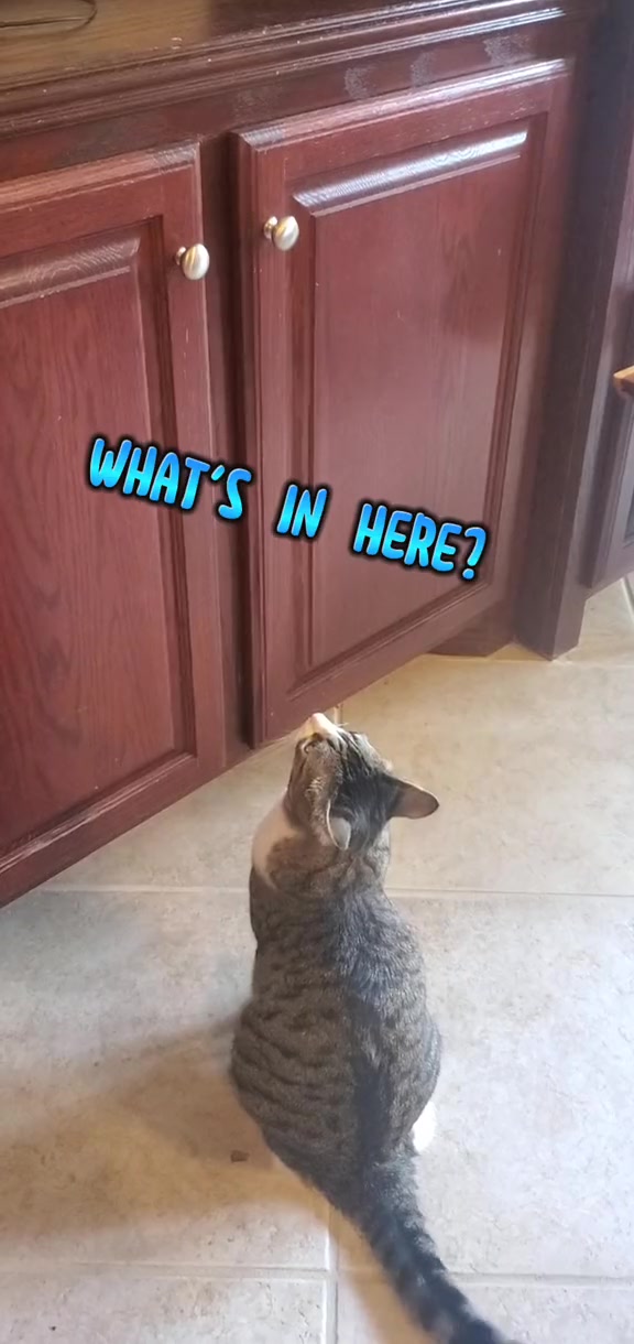@stickeroonie