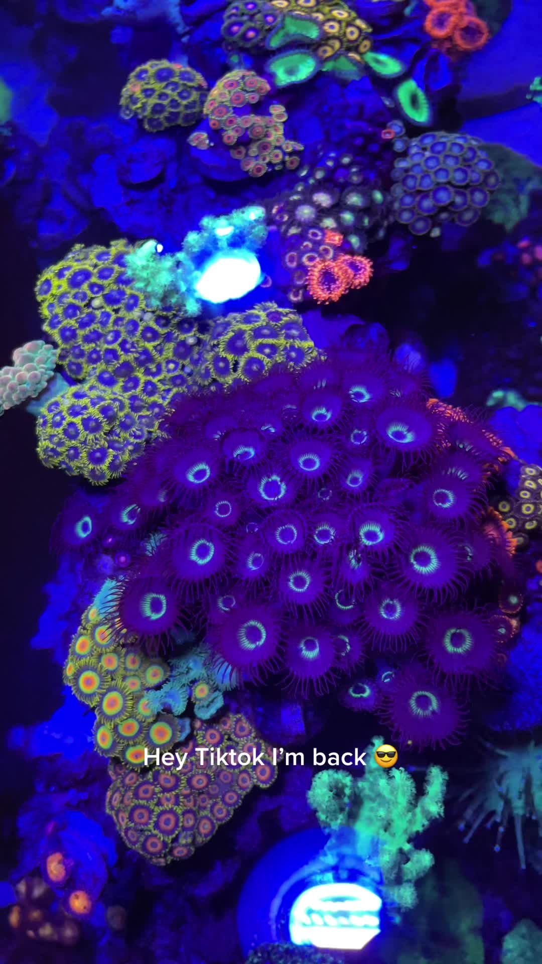 @HeyFishyFishy