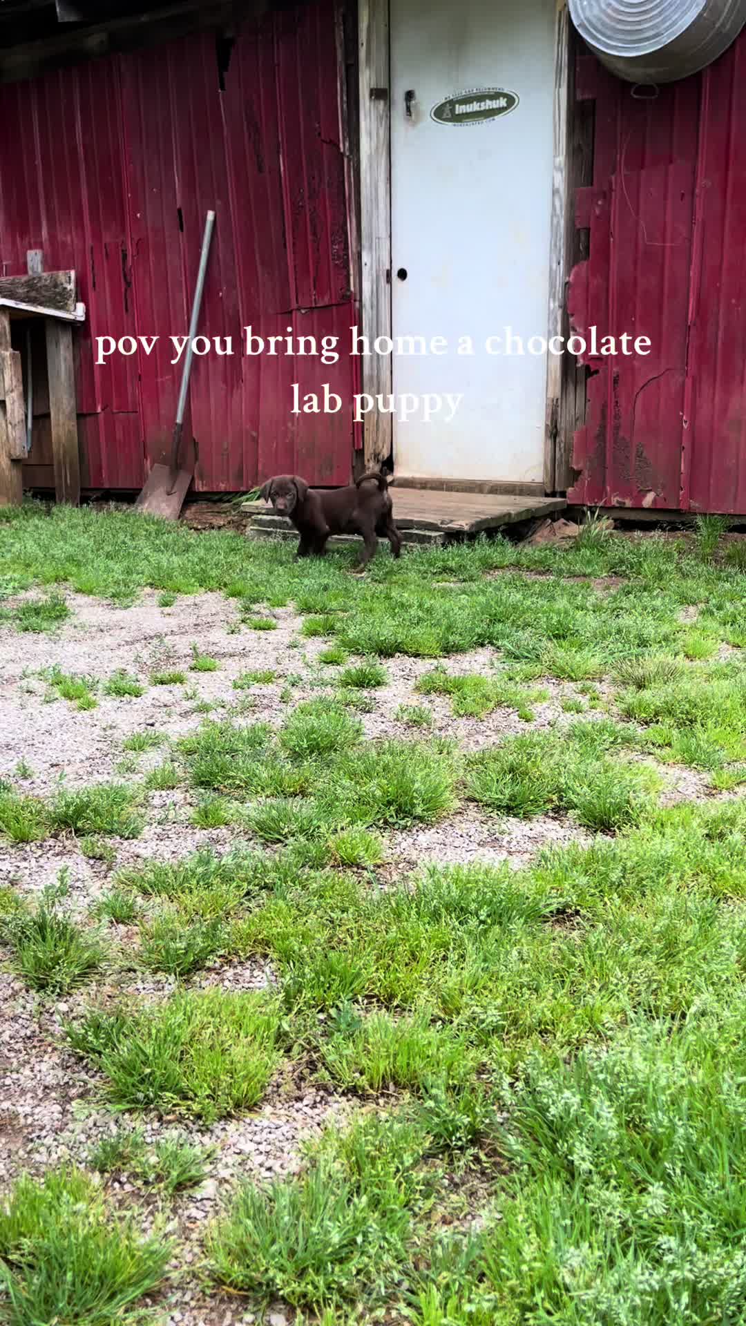 @sadiethechocolate