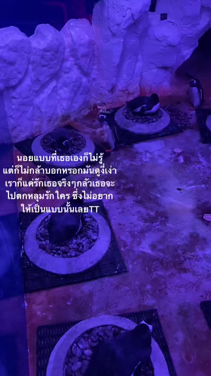 @ชอบกินไก่ทอด