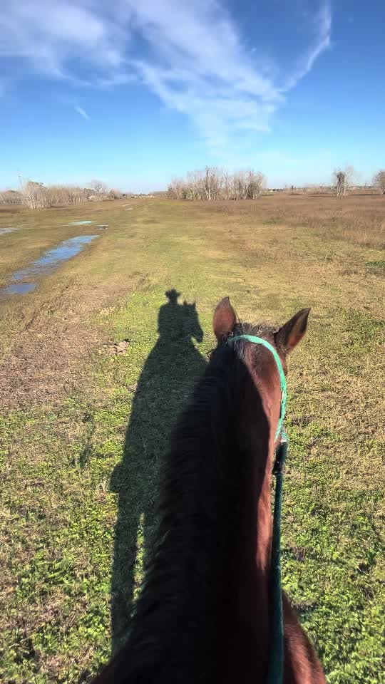 @CowboyBob_Horsemanship