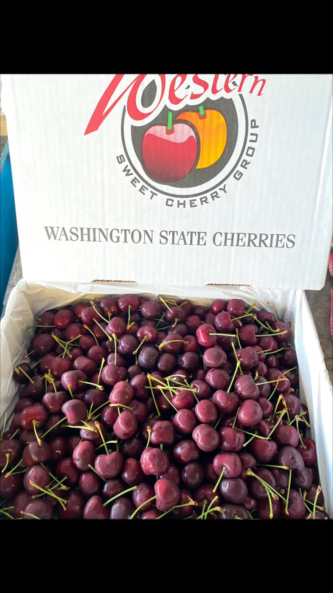 @Transfruits