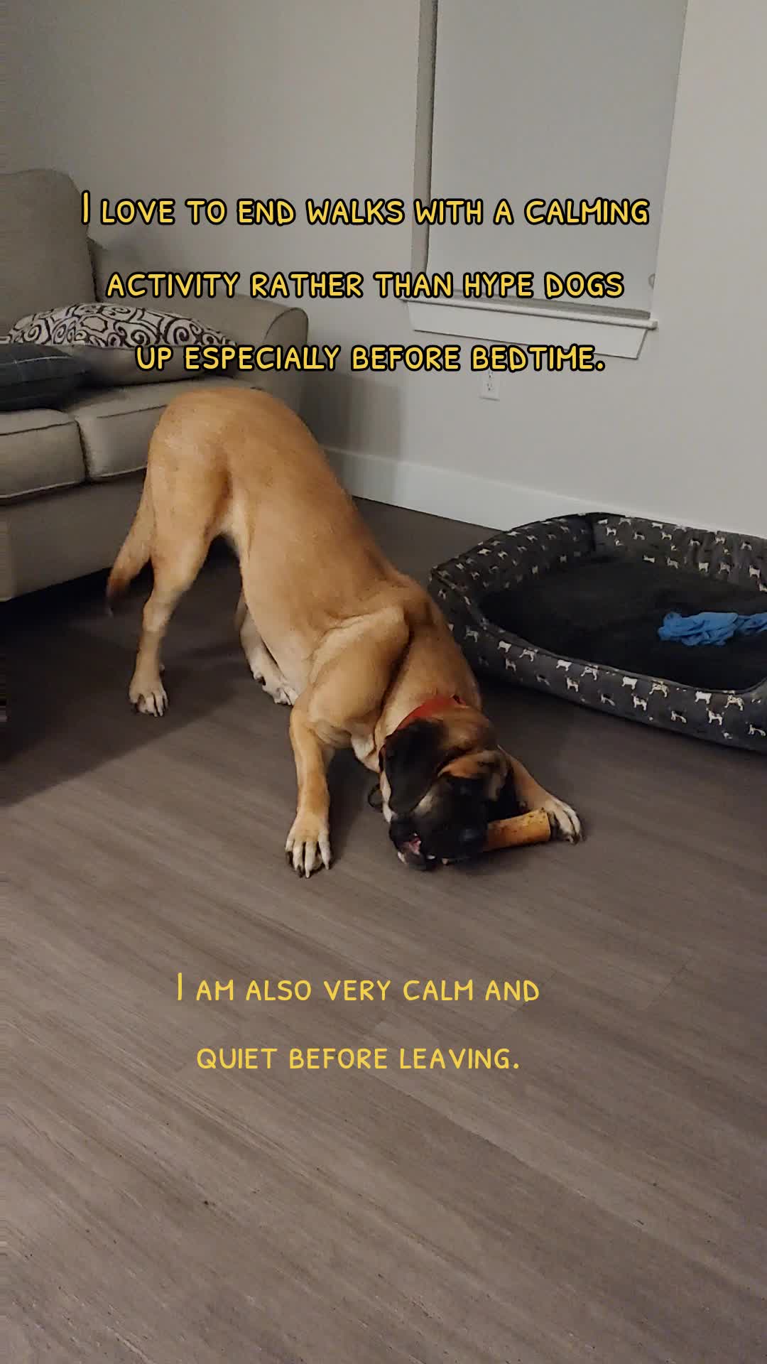 @TeachersPetSitting