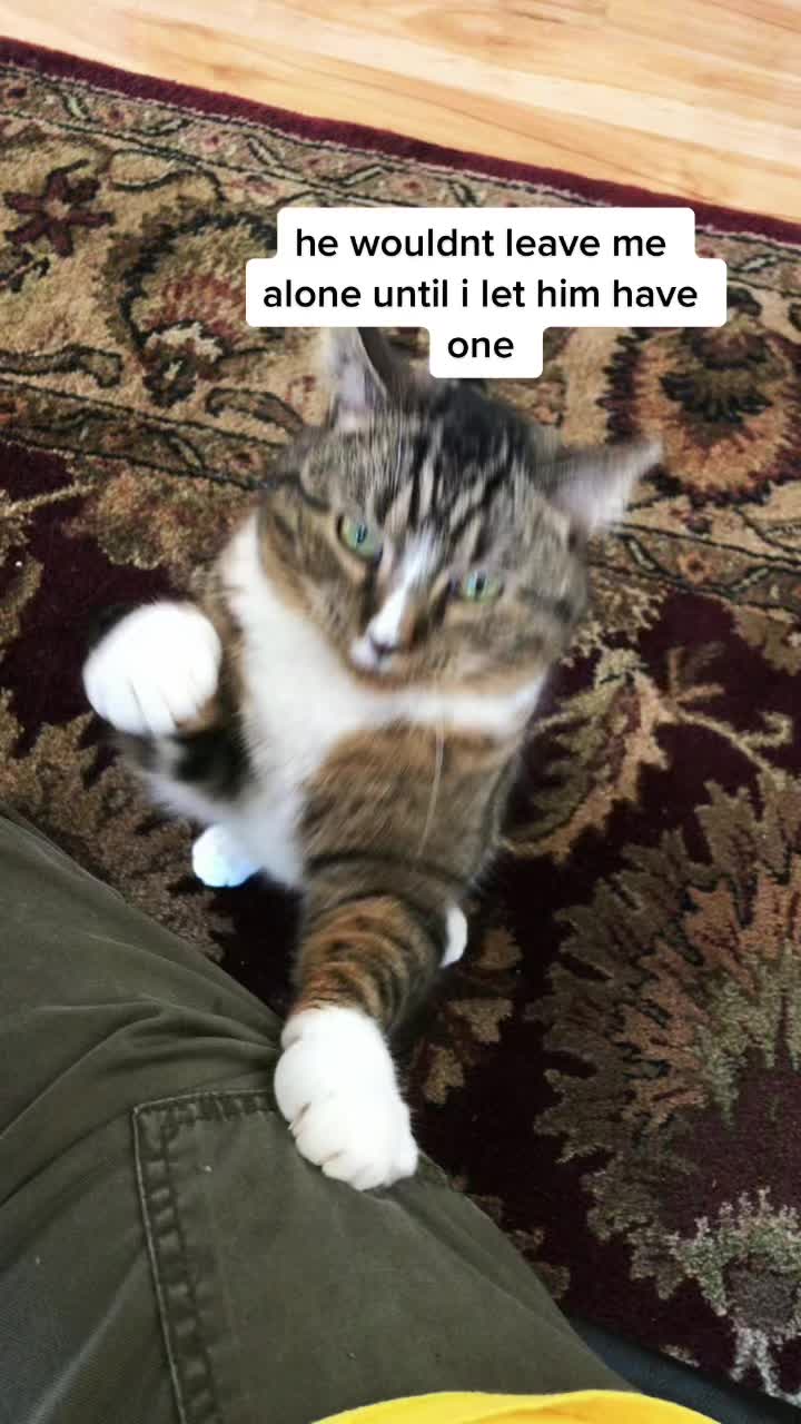 @mk