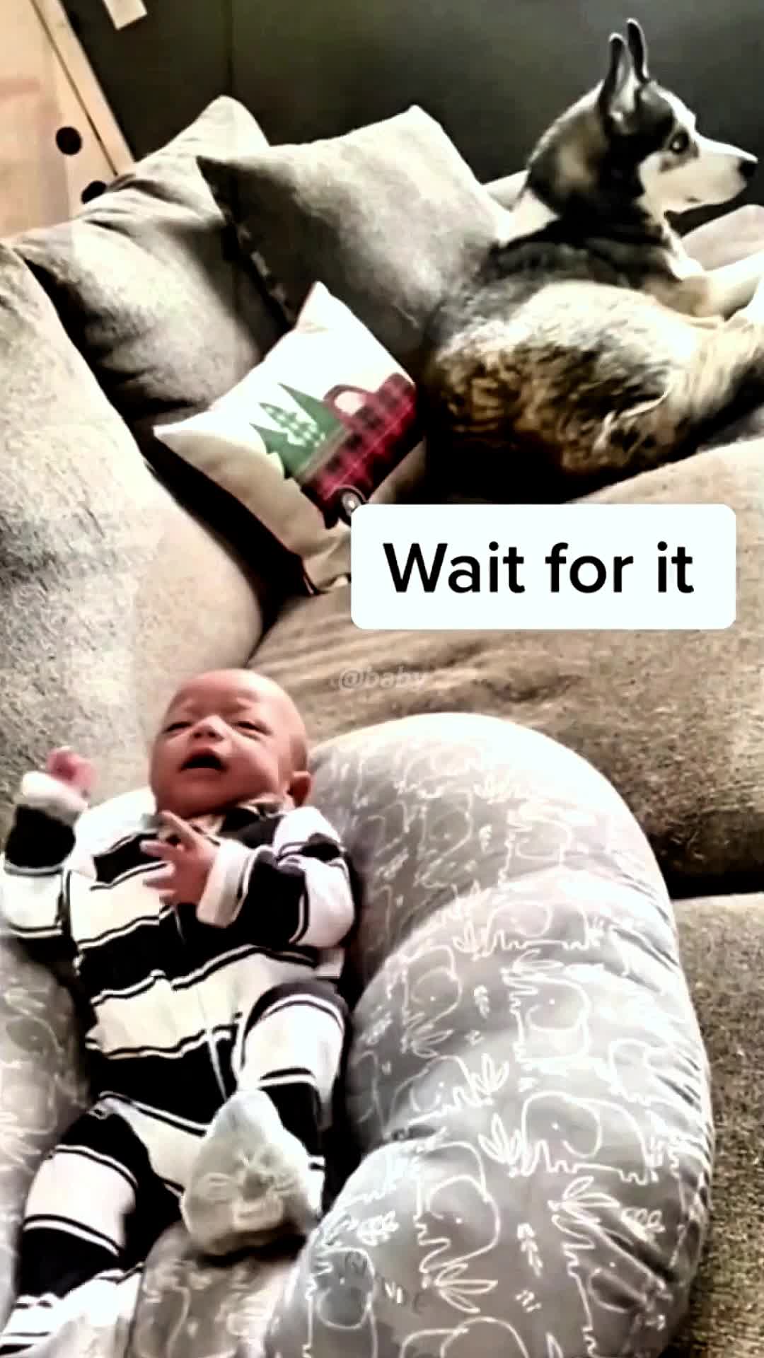 @𝗕𝗔𝗕𝗬