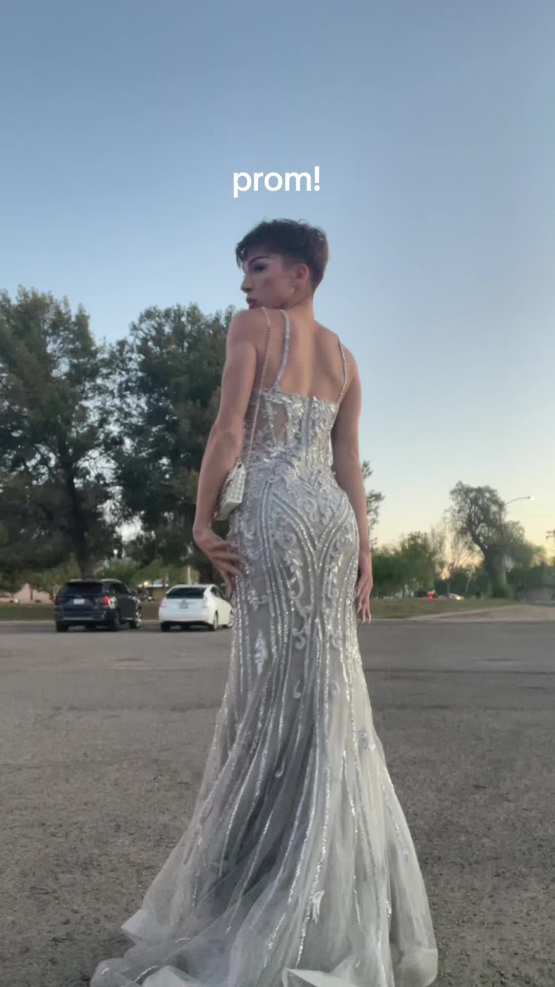 @iamsantcortez
