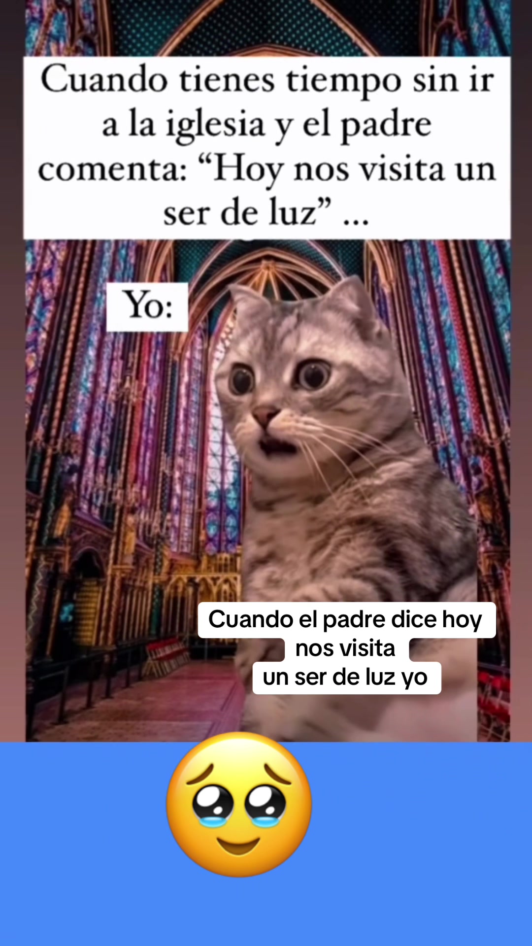 @videoschistosozzzzz