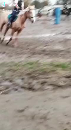 @Końska Grupa🐎