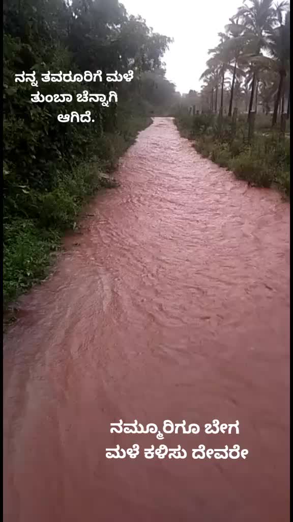 @🌴ರಾಣಿಗಿರಿ ರೈತ 🌴