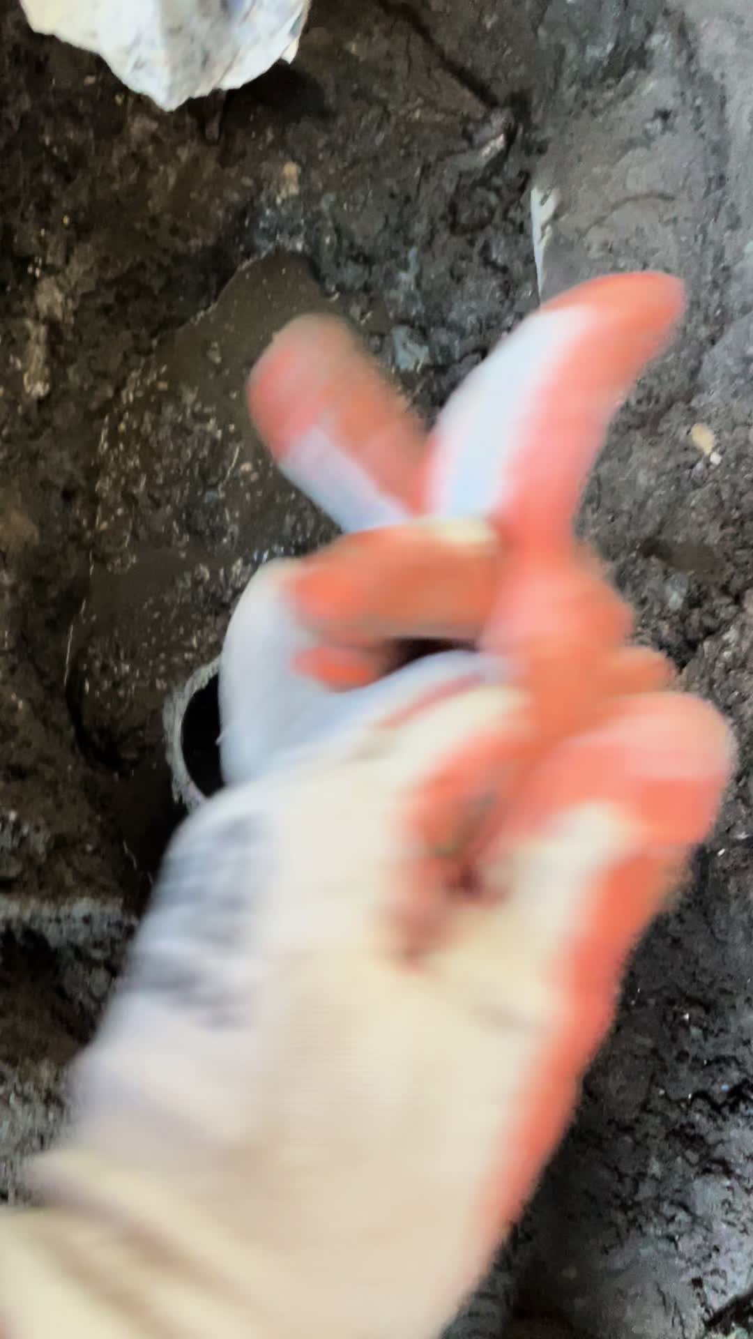@ItsMrLogz