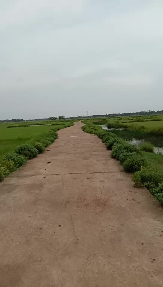 @Chandan Kumar