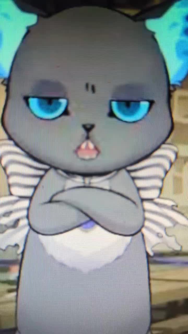 @Box Cat Yuuki