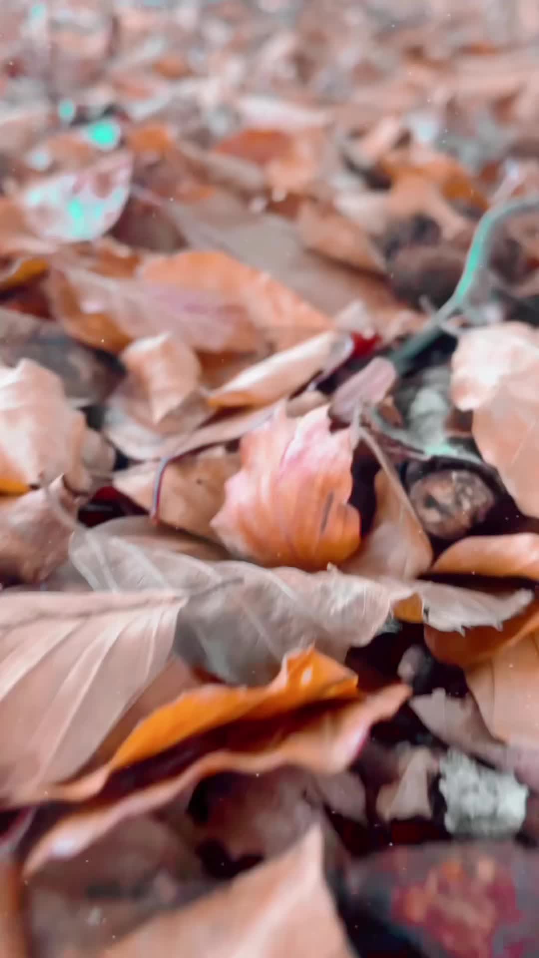 @Mymy