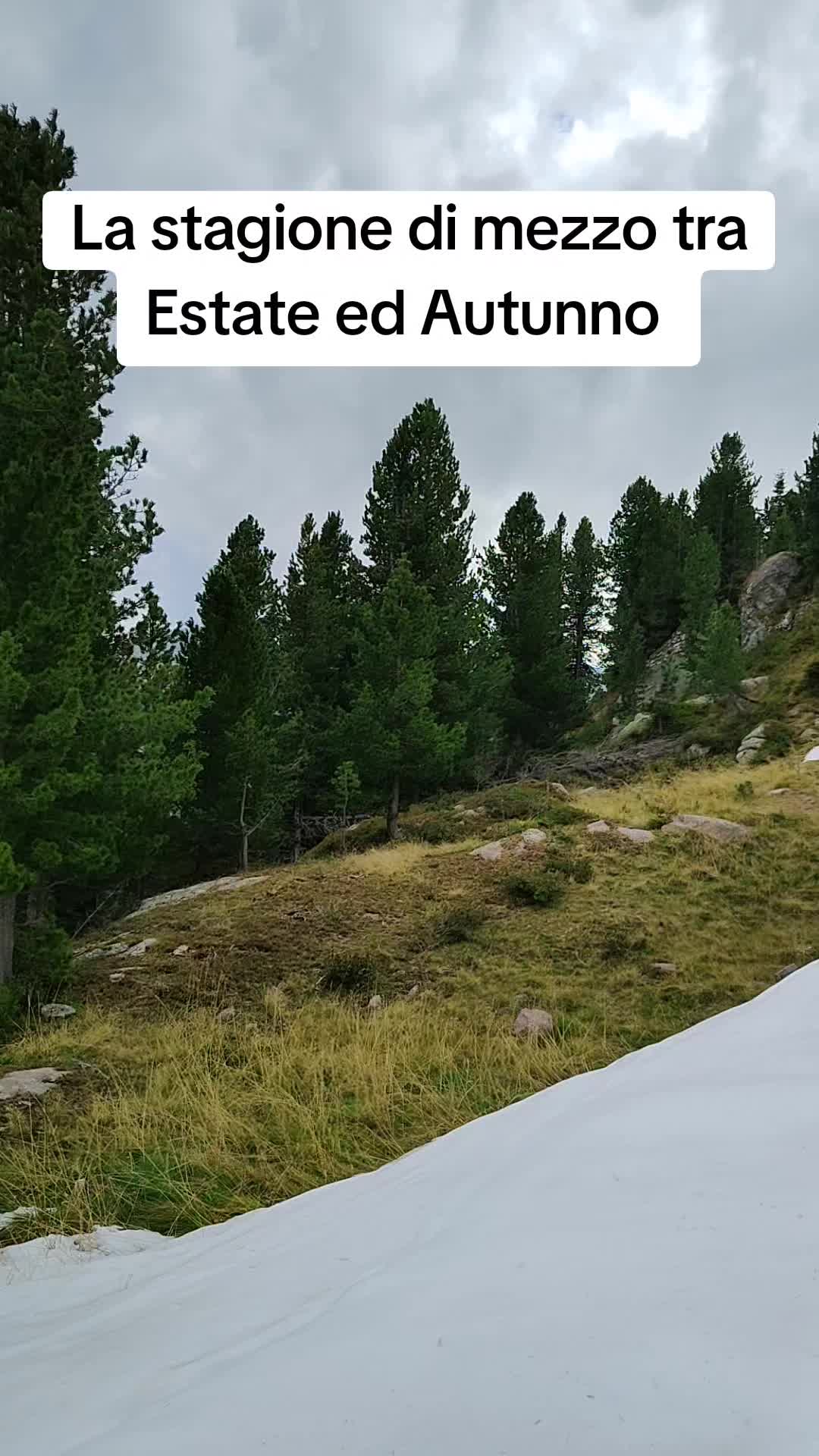 @Montagna Estate
