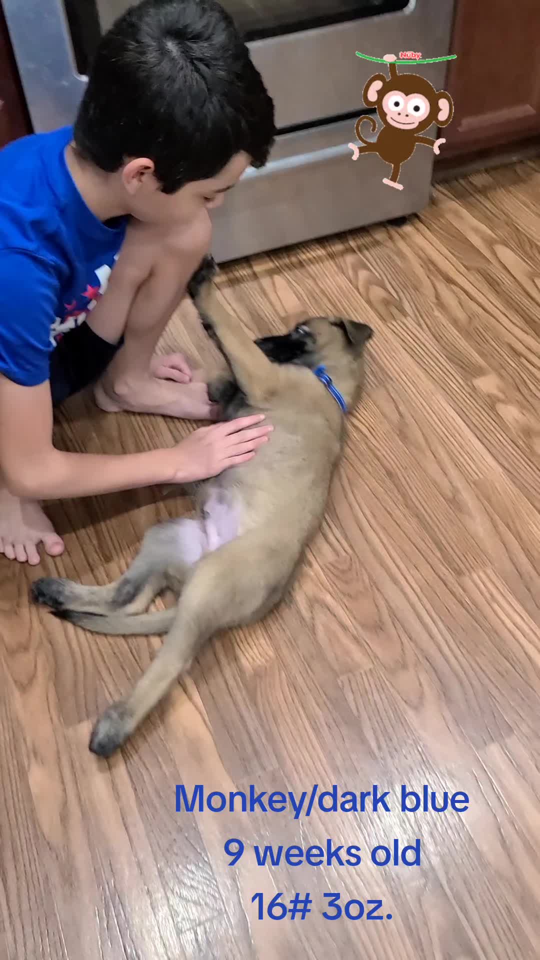 @My Mali Zelda