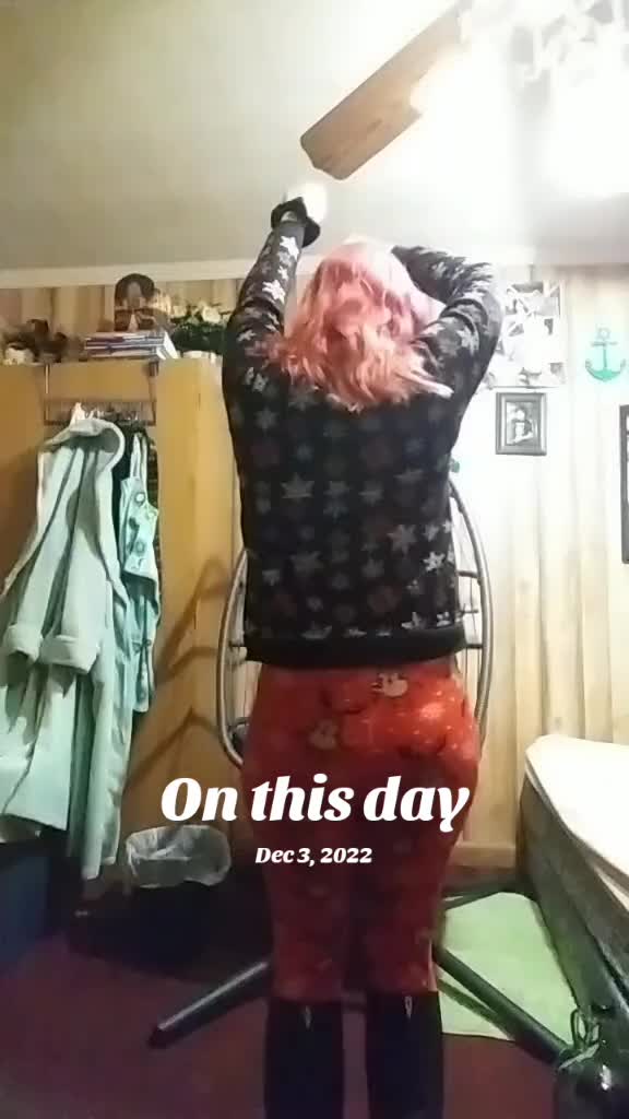 @KimmyKat 😻