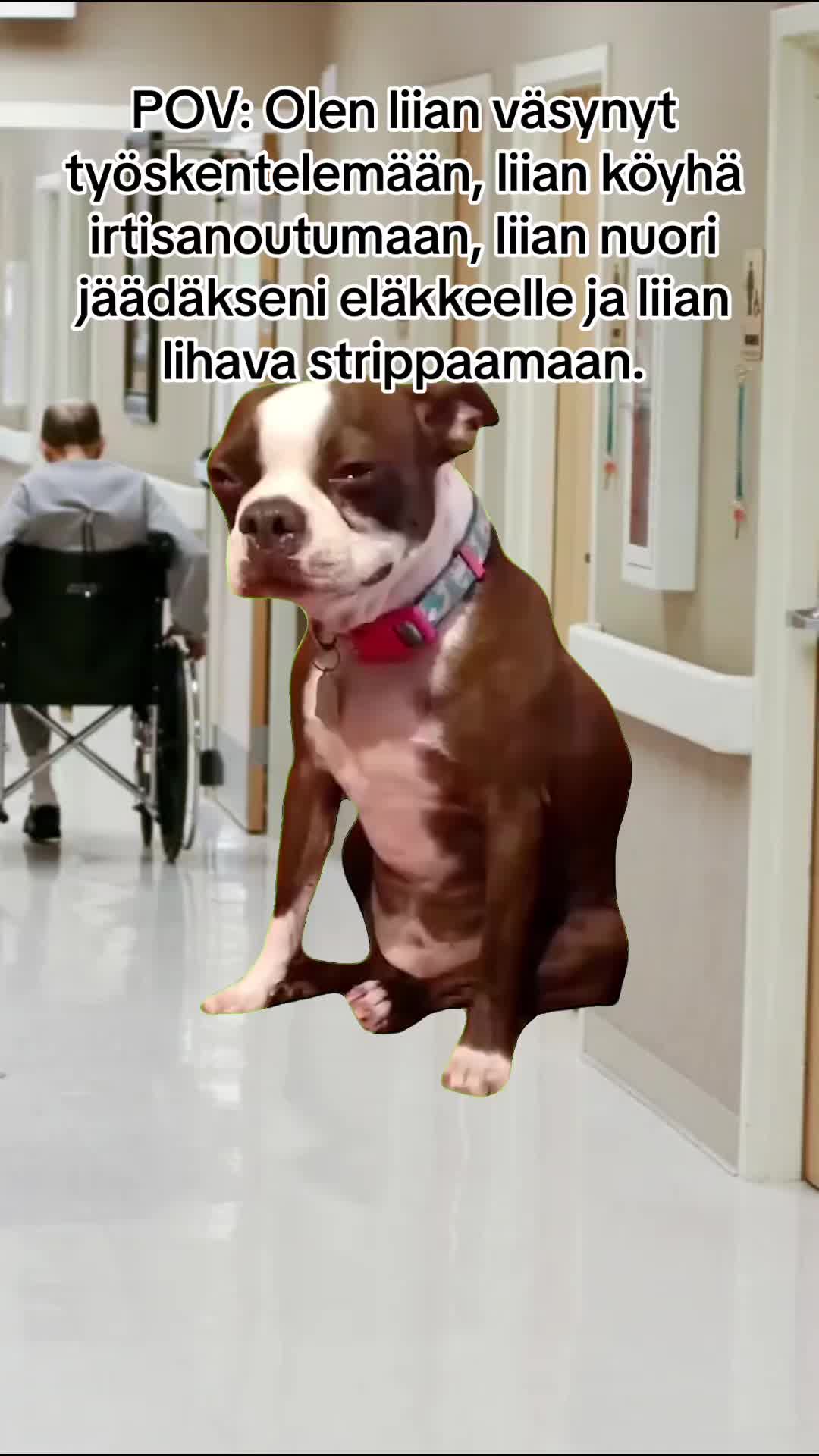 @Carol 👩🏻&zwj;⚕️🌻🇵🇭🇫🇮
