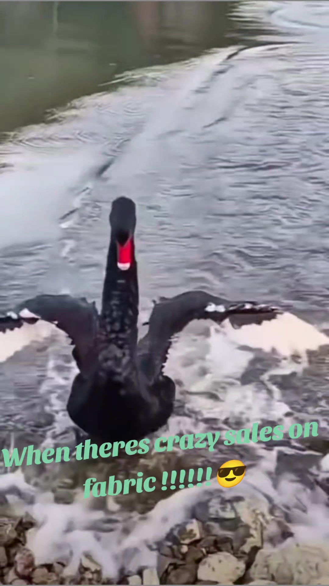@Bunnie