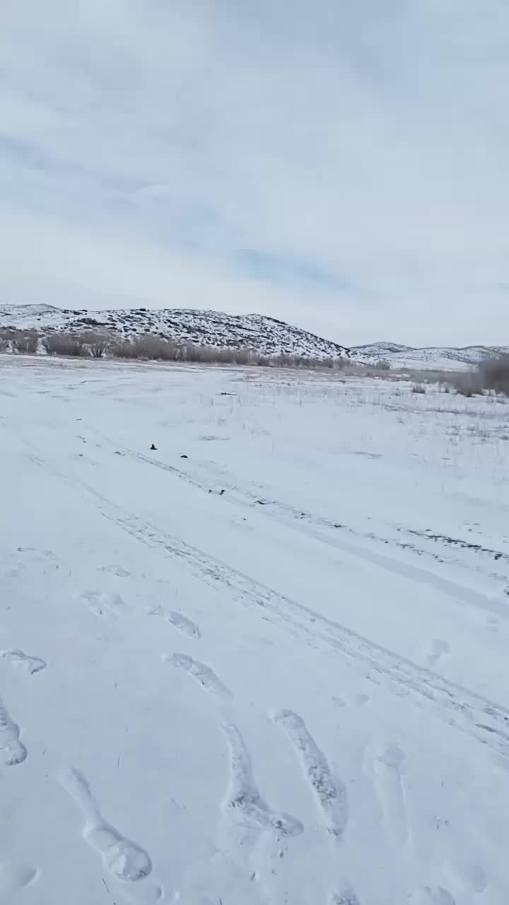 @Андабаев Ілияс