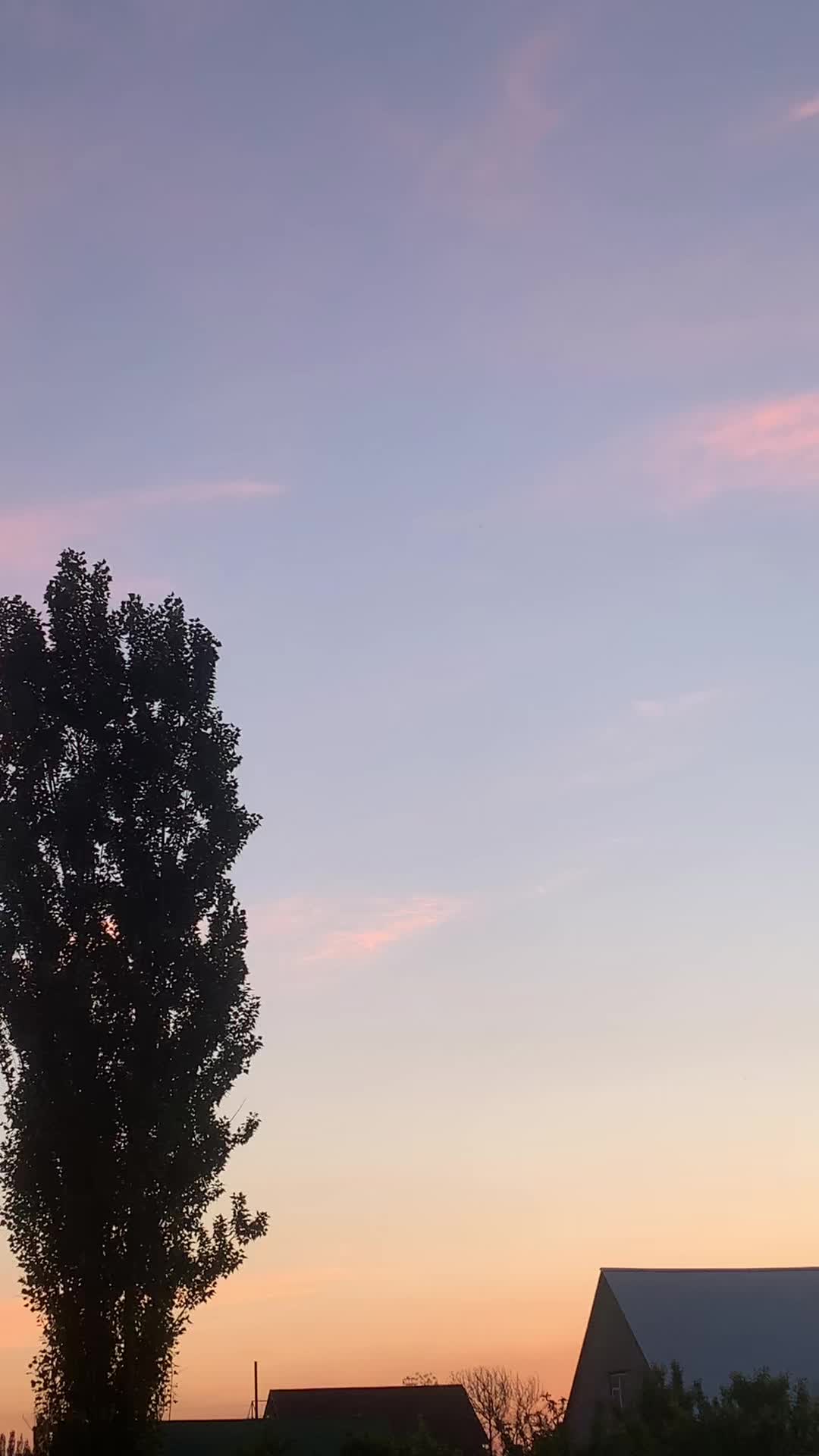 @Ветеринар Байэл