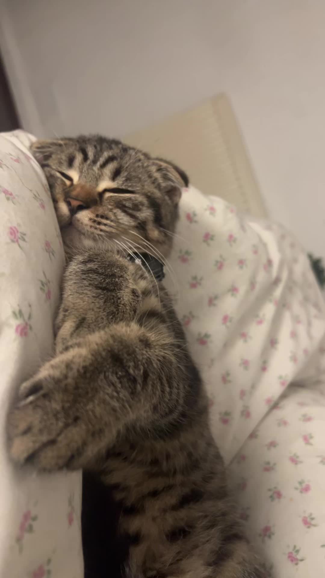 @ูููู๐
