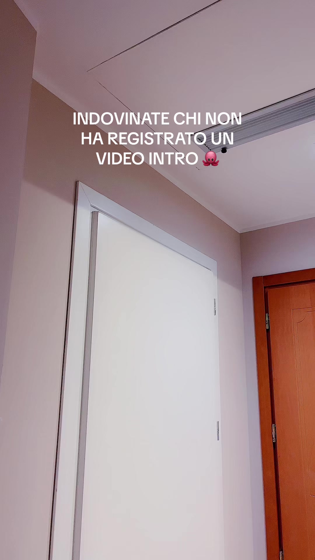 @luhnekochan