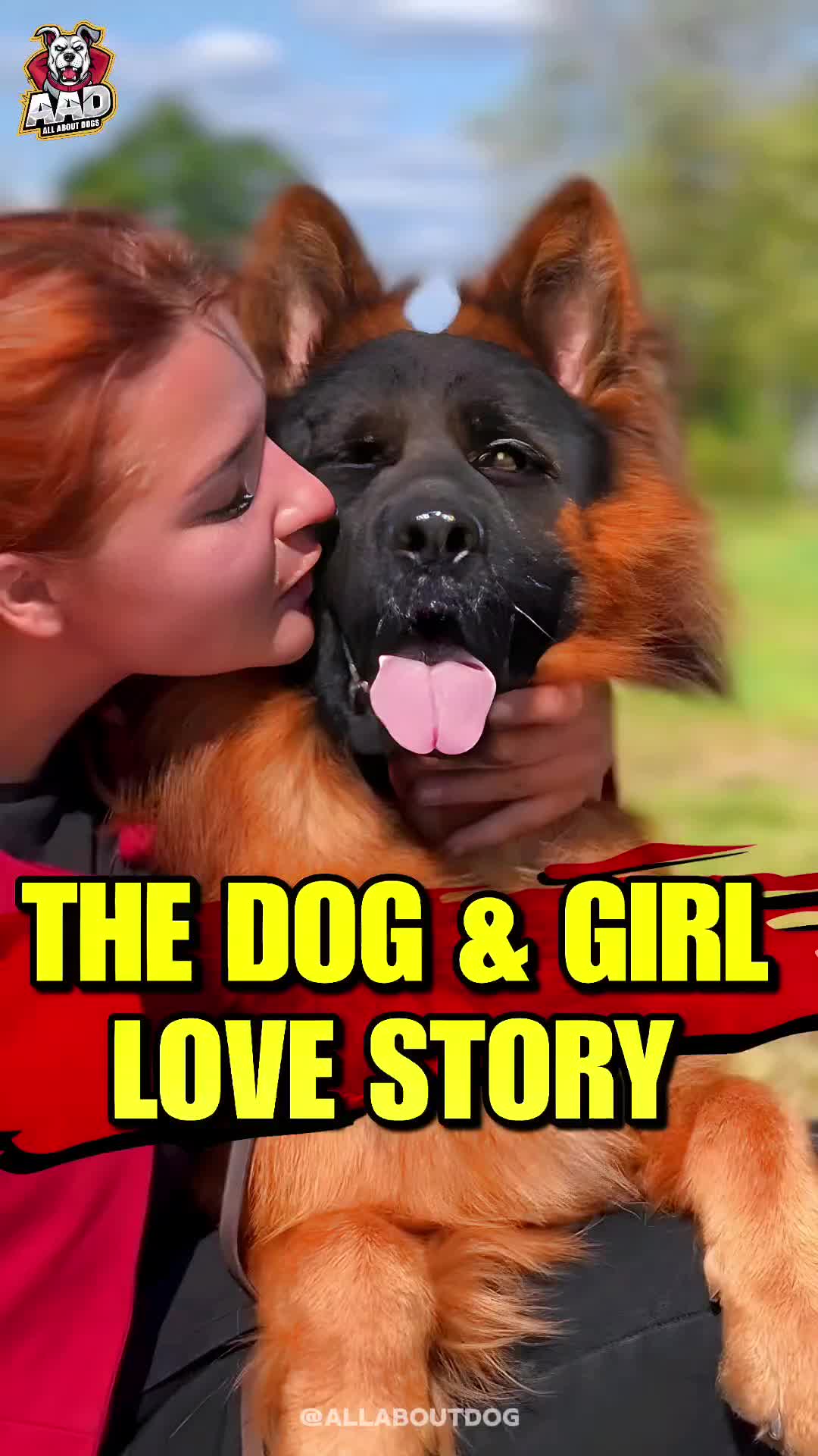 @Dog Breed World