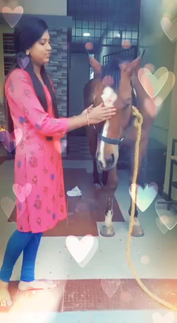 @Induhari