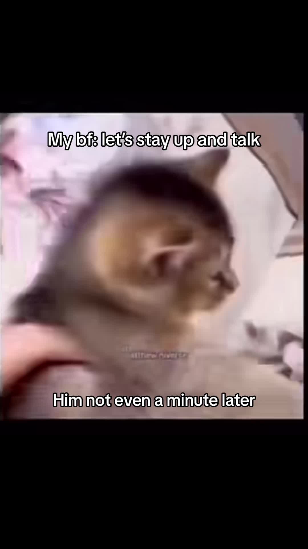 @ijingledhisballs