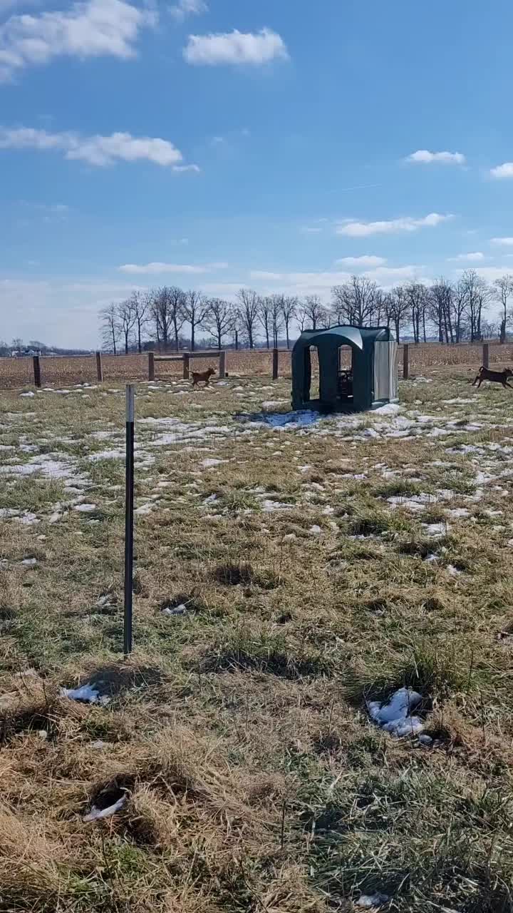@4SFarms