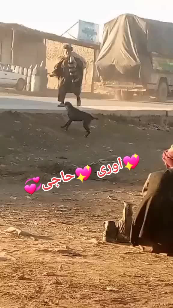 @👑زڑگو💓باچا👑