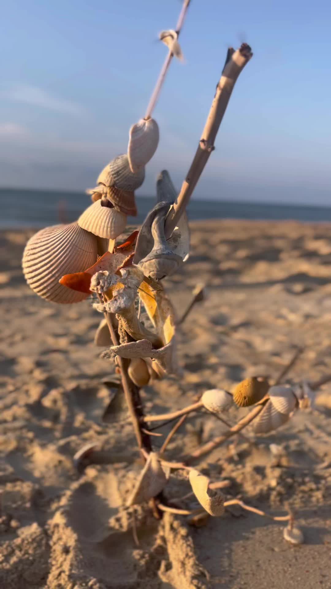 @BeachWavesTX